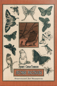 Отчего синицы раз в году теряют рассудок