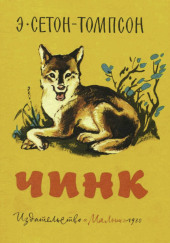 Чинк