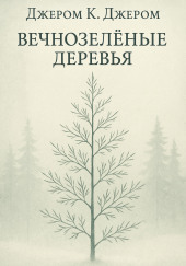 Вечнозелёные деревья