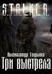 S.T.A.L.K.E.R. Три выстрела